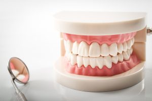 Dental model and tool